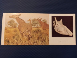 Animaux -Collection "Les Dinosaures" Samotherium 1989 Giraffe Ancestor - Giraffes