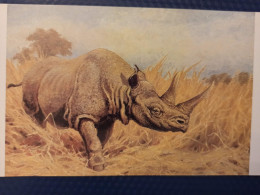 Animaux -Collection "Les Dinosaures" Dicerorhinus 1989 RHINO - Rhinoceros