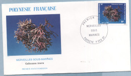 1991 FEVRIER 07  Enveloppe1er Jour MERVEILLES SOUS MARINES 9 FRANCS - Storia Postale