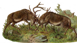 Chromos Découpis Gaufré;   Combat De Cerfs     27x15 Cms    (voir Scan ) - Animali