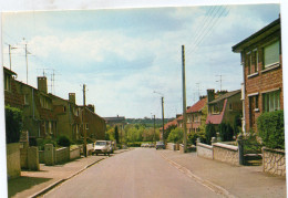 BERLAIMONT - Rue Du Vivier - Berlaimont