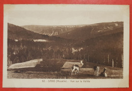 CPA - Dabo -(Moselle) - Vue Sur La Vallée  Hôtel Bour Dabo - Station Climatérique - Dabo