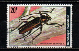 RWANDA - 1978 - Coleoptera: Macrotoma Serripes - USATO - Gebruikt