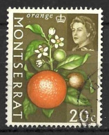 MONTSERRAT...QUEEN ELIZABETH II..(1952-22..)...." 1965.."..ORANGE....20c........SG169......VFU..... - Alimentation