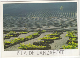 Isla De Lanzarote - La Geria - (Islas Canarias, Espana/Spain) - Lanzarote