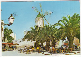 Menorca - Ciudadela : Molino Y Plaza Alfonso III. - (Espana/Spain) - Moulin/Mill/Mühle/Molen - Menorca