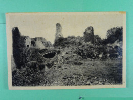 Falaën Intérieur Des Ruines De Montaigle - Onhaye