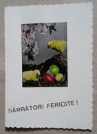 Easter - Collezioni E Lotti