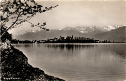 Rapperswil (7764) - Rapperswil-Jona