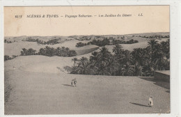 AFRIQUE 209 : Paysage Saharien , Les Jardins Du Désert " Scènes & Types " édit. L L N° 6511 - Non Classés