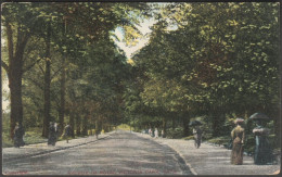 Avenue In Royal Victoria Park, Bath, Somerset, C.1905 - GD&DL Postcard - Bath