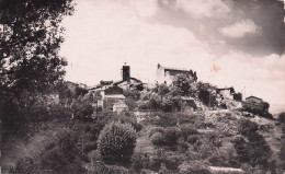 Montauroux  -  Le Vieux Village - CPSM  °J - Montauroux