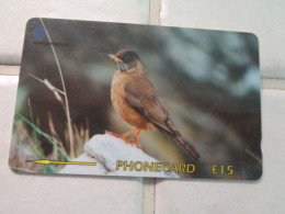 Falkland Islands Phonecard - Falklandeilanden