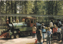 91, Parc De Saint Vrain, Le Petit Train - Saint Vrain
