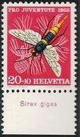 Schweiz Suisse Svizzera Pro Juventute 1955: Zu 160 Mi 620 Yv 569 ** MNH + TAB Latinum "Sirex Gigas" (SBK CHF 5.20) - Abeilles