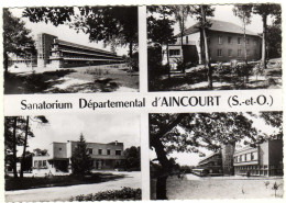 AINCOURT  Sanatorium Départemental - Aincourt