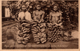 S.  SÃO TOMÉ - Roça Santa Catharina - Tres Belos Exemplares De Cachos De Bananas - Sao Tome Et Principe