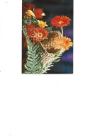 Romania  -  Postcard Unused   -  Flowers -   Chrysanthemums - Plantes Médicinales