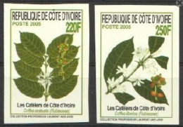 Ivory Coast 2005, Coffe Plants, 2val IMPERFORATED - Agriculture