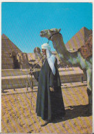 Camel Driver Near Great Sphynx And The Pyramids - Egypt Old Uncirculated Postcard - Afrika