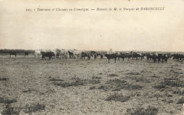 13 Manade  Baroncelli Camargue - Autres & Non Classés