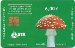 Andorra - STA - STA-0147 - Mushroom, Amanita Muscaria, GD04, 02.2005, 6€, 20.000ex, Used - Andorra