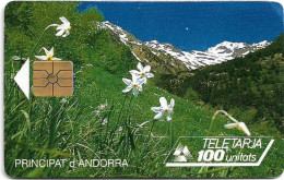 Andorra - STA - STA-0017A - Narcissus, Gem1B Not Symm. Red, WITHOUT Transp. Moreno, 04.1994, 100Units, 20.000ex, Used - Andorre