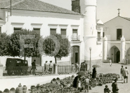 REAL PHOTO POSTCARD ALENTEJO MERCADO LOIÇA BARRO BEJA PORTUGAL CARTE POSTALE JEEP LAND ROVER - Beja