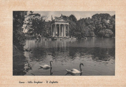 Z5976 Roma - Villa Borghese - Il Laghetto - Cigno Cygne Zwaan Swan / Viaggiata 1957 - Parcs & Jardins