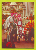 SRI LANKA Kandy Esala Perahera Procession Annuelle Eléphant VOIR DOS - Éléphants