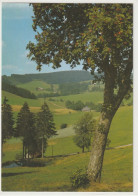 Langenordnachtal, Baden-Württemberg - Hochschwarzwald