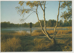 Neckar-Ursprung, Schwenningen, Baden-Württemberg - Villingen - Schwenningen