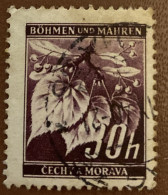 Bohemia & Moravia 1939 Local Motifs 30 H - Used - Used Stamps