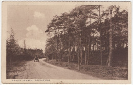 Emmer Dennen. Straatweg - (Nederland/Holland) - Paard En Wagen - (Uitg. W. Ten Kate, Emmen) - Emmen