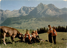 Alp Iltios Bei Wildhaus-Unterwasser Mit Säntisgruppe (106) * 12. 8. 1974 - Wil