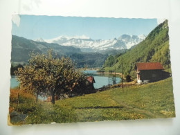 Cartolina Viaggiata "GRINDEWALD" 1970 - Wald