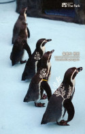 Samjung The Park (Busan Zoo), South Korea - Penguin - Corée Du Sud