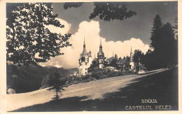 ¤¤   -   ROUMANIE   -   Carte-Photo  -  SINAIA   -  Castelul PELES     -   ¤¤ - Romania