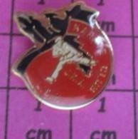 2219 Pin's Pins / Beau Et Rare / SPORTS / KARATE CLUB DE ???? - Judo