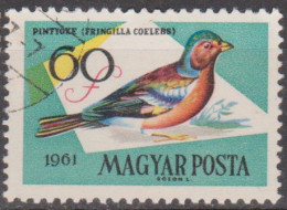 HUNGRIA - 1961 - Birds. 60f  (o)  MI - 1810A  YT - 1480 - Collections