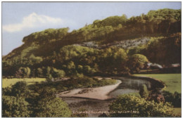 WOODENBRIDGE COUNTY WICKLOW IRISH IRELAND POSTCARD UNUSED - Wicklow