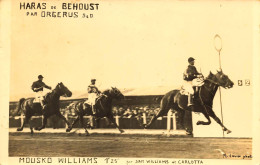 Béhoust Par Orgerus * Carte Photo * Haras * Mousko Williams Par Sam Williams & Carlotta* Hippisme Hippique Jockey Course - Andere & Zonder Classificatie