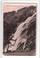 POWERSCOURT WATERFALL COUNTY WICKLOW IRELAND IRISH UNUSED - Wicklow