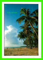 HIGUEY, RÉPUBLIQUE DOMINICAINE - PLAYA DE CORTECITO - TRAVEL IN 1992 - PHOTOS BY FABRIZIO CONFETTI - - Dominikanische Rep.