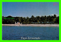 SAMANA, RÉPUBLIQUE DOMINICAINE - PLAYA CAYO LEVANTADO - MAXY'S FOTO - MAXIMO NIN - - Dominicaine (République)