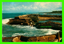 PUERTO PLATA, RÉPUBLIQUE DOMINICAINE - COSTA DE AMBAR - AMBAR COAST -  LIBRERIA GARCIA - - República Dominicana