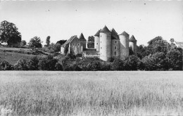 Concrémiers * Château De Forges * Vue Sur La Prairie Et L'anglin - Sonstige & Ohne Zuordnung