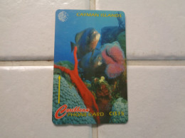 Cayman Islands Phonecard - Cayman Islands