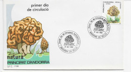 3780   FDC  Andorra La Vella 1984, Setas, Hongos, Champiñones, - Lettres & Documents