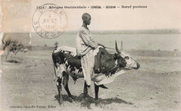 SOUDAN - S18018 - Afrique Occidentale - Sénégal - Bœuf Porteur - Sudan